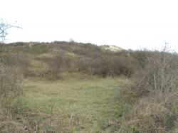 * La Dune Marchand et la Dune du Perroquet à Bray-Dunes