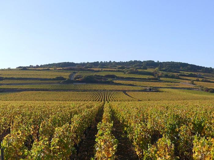 Département de la Côte d'Or
