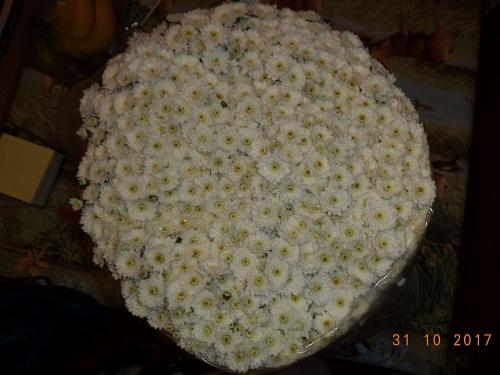 Laissons notre imagination vagabonder