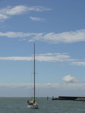 Arrivee_des_voiles_de_legende__22_