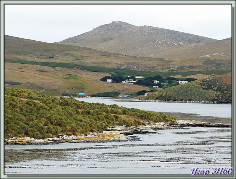 Paysage représentatif de l'île de West Point et du hameau du même nom vu du chenal de Woolly Gut - Falkland Islands, Iles Malouines, Islas Malvinas