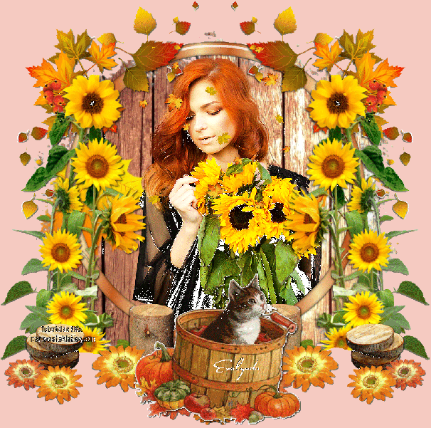 Soleils d'automne