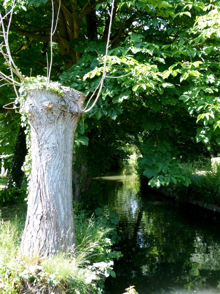 Festival Art, villes & paysage