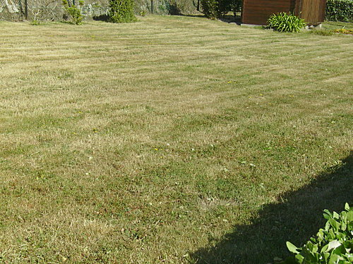 IMGP0095.JPG
