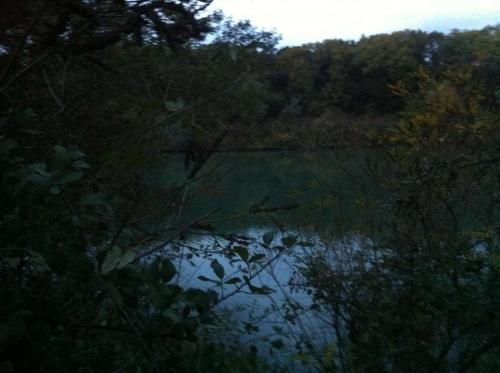 Rhône Autoroute et Dessous - Camargue