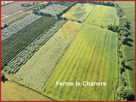 ღ꧁ღ╭⊱ꕥ   47 Lot et Garonne   ꕥ⊱╮ღ꧂ღ