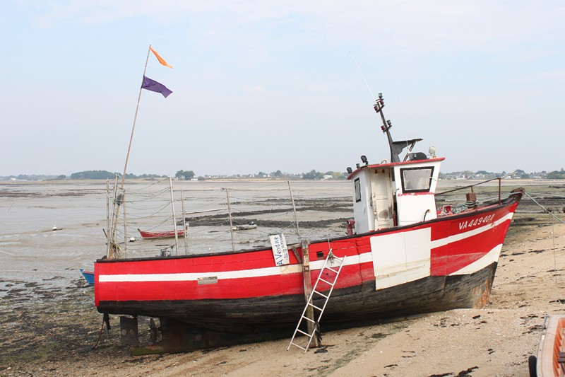 790 - En Presqu’île de Rhuys (56)