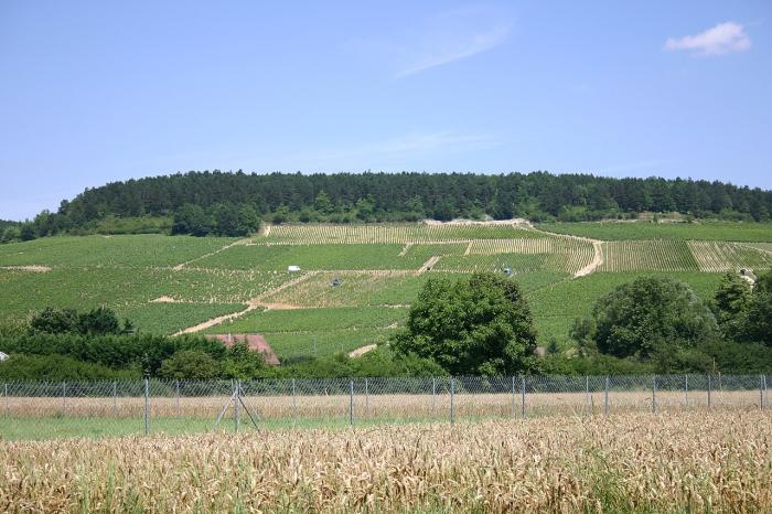 Département de l'Yonne