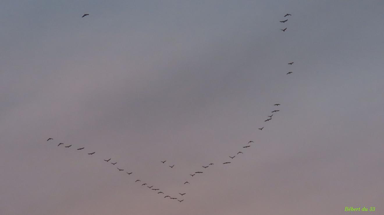 mes photos plaisir d'Octobre 