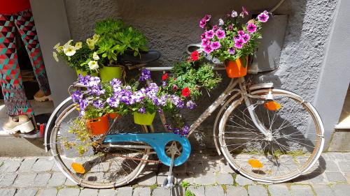 Le remède à la morosité