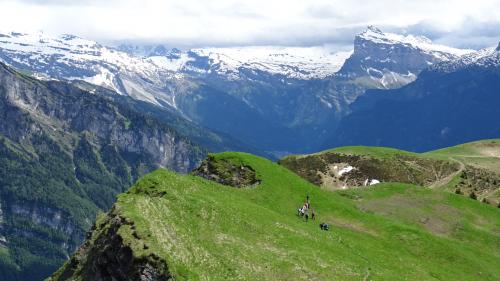 "Le Haut-Giffre" - Mercredi 15 Juin 2016 - Après-midi