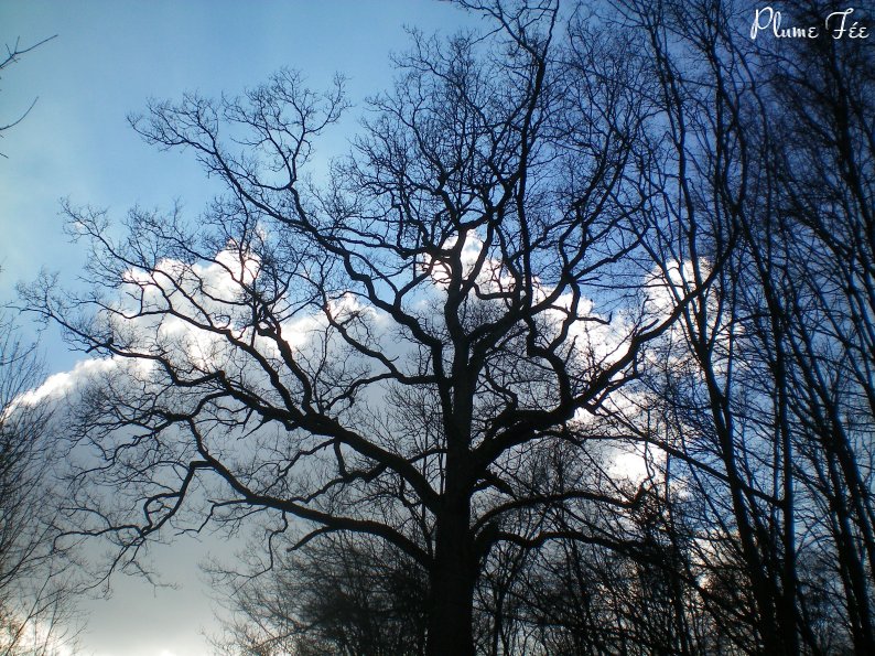 Image014.jpg