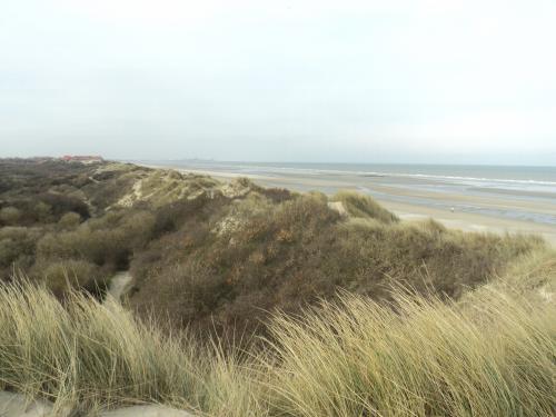  * La Dune Marchand et la Dune du Perroquet à Bray-Dunes