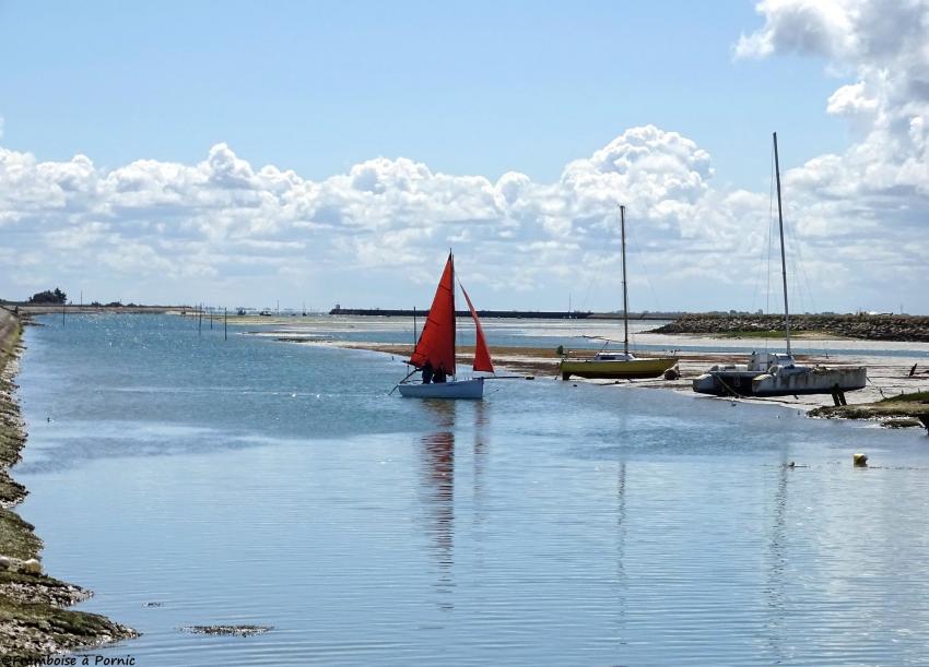 Virée sur Noirmoutier 