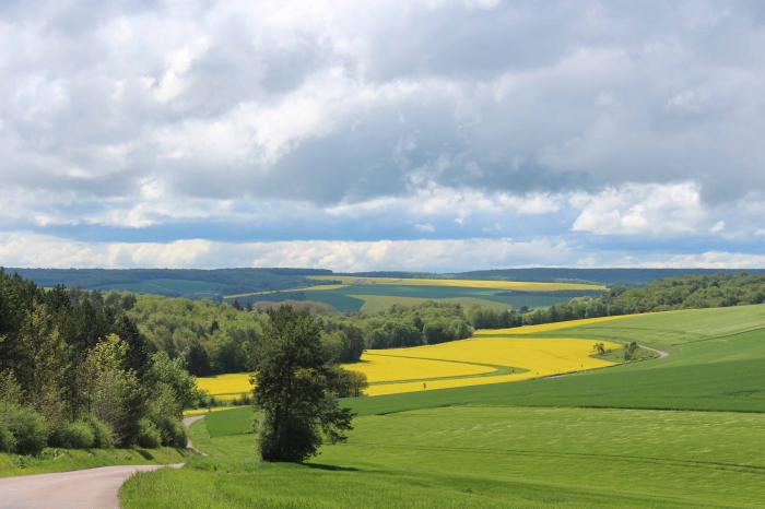Département de la Côte d'Or