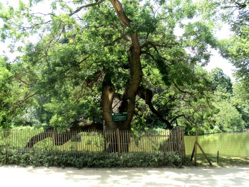  * Au Parc des Buttes Chaumont
