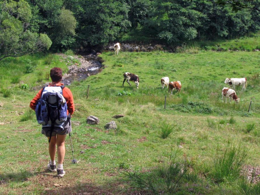 Comme les cailloux du Petit Poucet GR.30 Tour des lacs d'Auvergne : Etape 7 Saint-Genès-Champespe - Picherande - 22 Kms