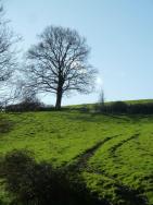 La randonnée du 7 février à Feuguerolles-Bully