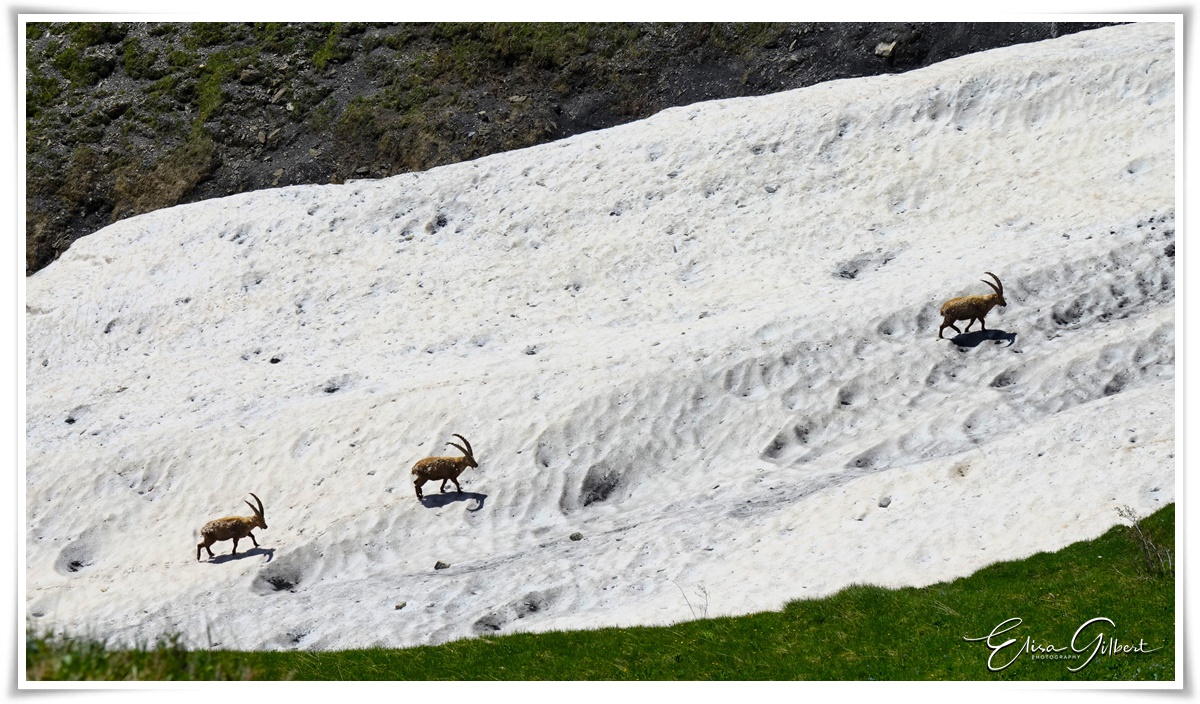Retour au Col des Champs