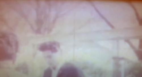 Elvis in Memphis. 1961