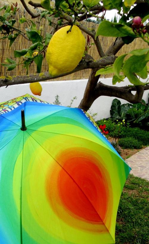 Arbres d'exception et parapluies rares