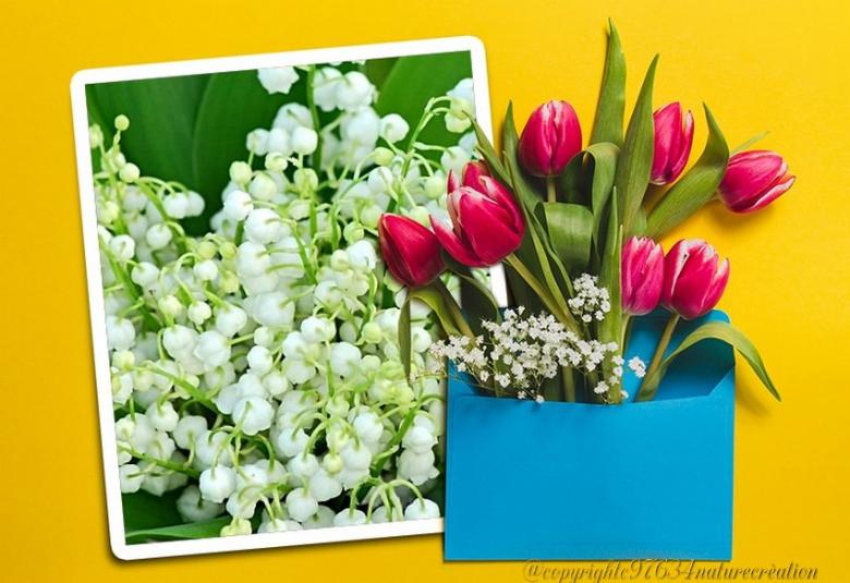 des fonds (fête du Muguet )pour vos créations