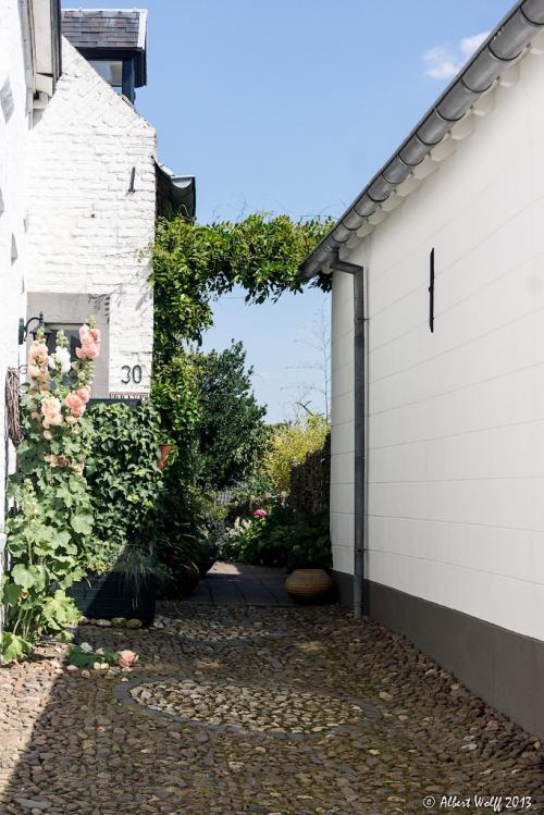 Thorn la blanche.(Part 1)