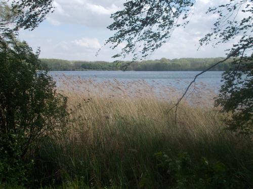  * Au Domaine provincial De Gavers à Harelbeke