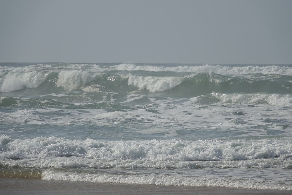 Balade au bord de l'Océan Atlantique - février 2019...