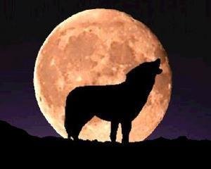 pleine_lune.jpg