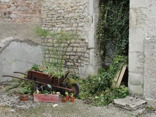 -Les actions du Lions Club