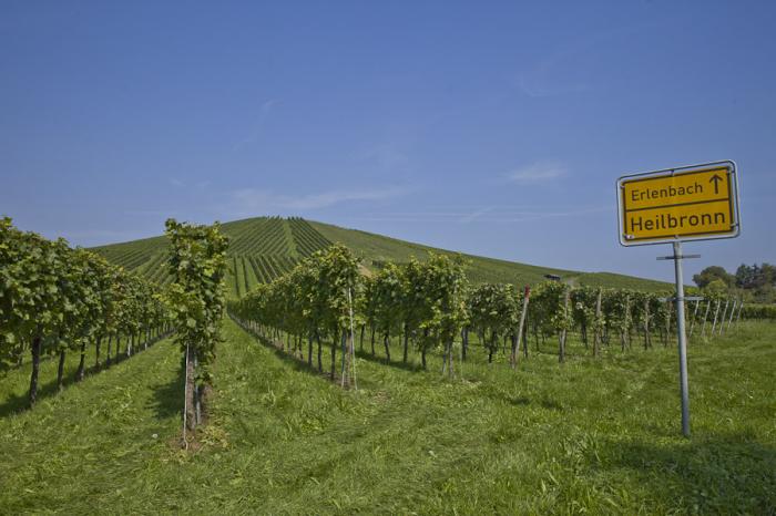 Département du  Haut-Rhin 
