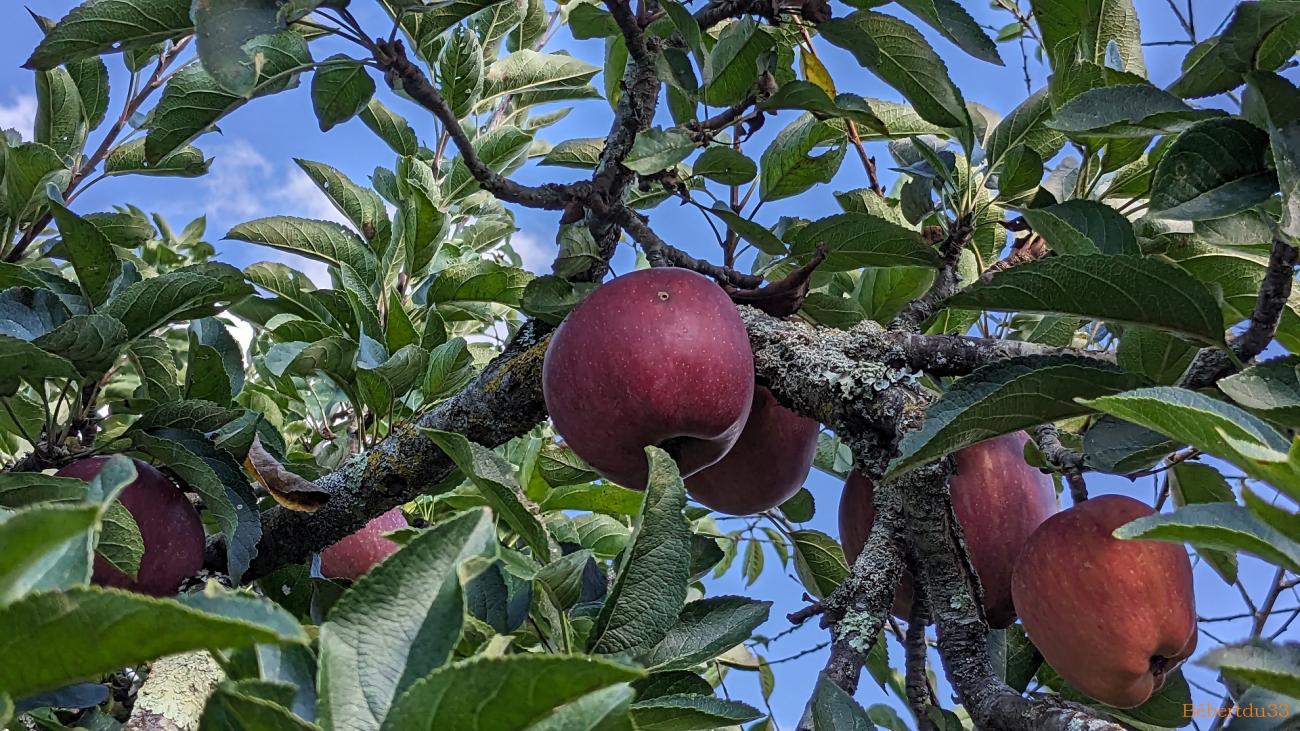 photos plaisir en Septembre