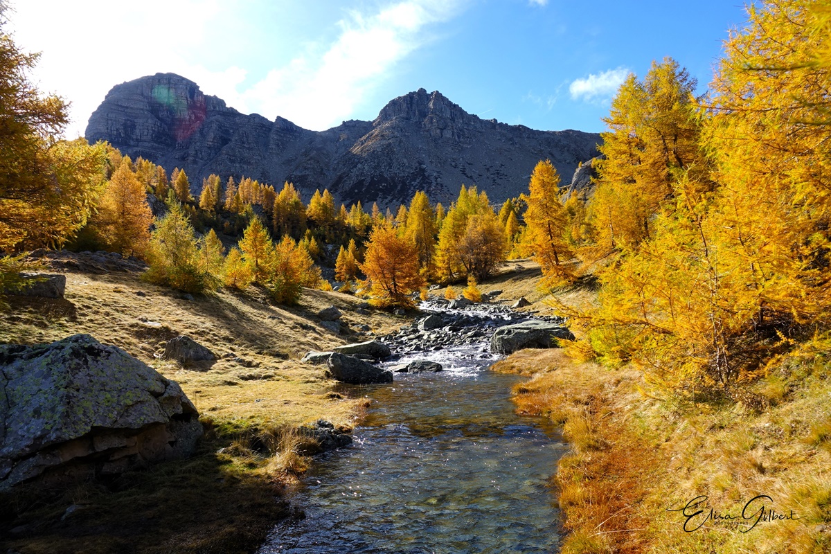 Féerie d'Automne