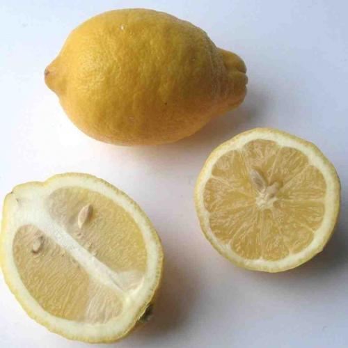 Arbre fruitier  ; Citronnier