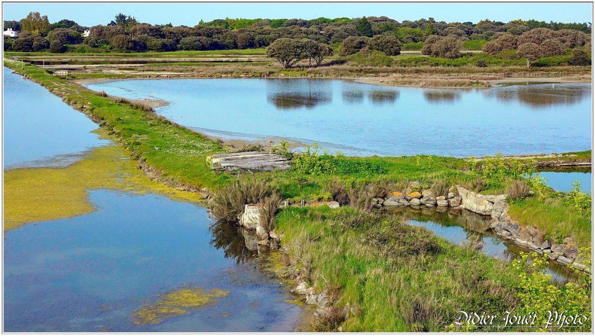 85 . Noirmoutier en l'île - Le Port & la Jetée Jacobsen