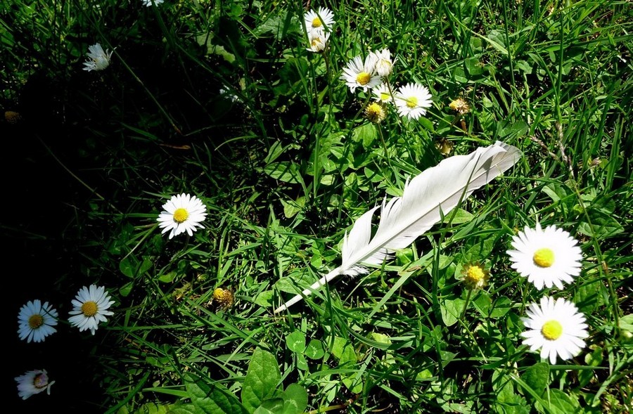Pour le sourire de deux enfants ... et plus ...
