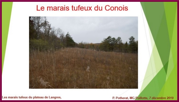 "Les marais tufeux du Plateau de Langres", une conférence proposée par la Société Mycologique du Châtillonnais