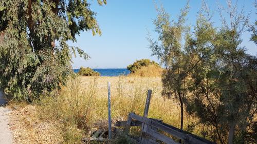 KOS, l'acropole de l'agora