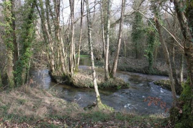 Viaduc de Daoulas (17)
