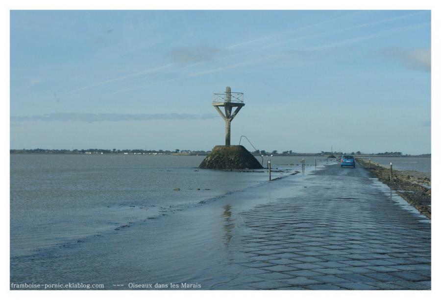 Petite virée sur l'île de Noirmoutier 