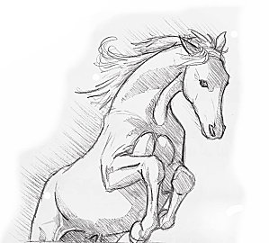 Cheval-en-saut-COPYRIGHT.jpg