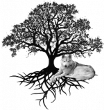 Dolina Volka Doula logo