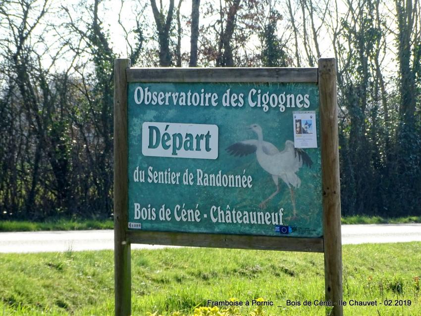 Vendée,  Bois de Céné 