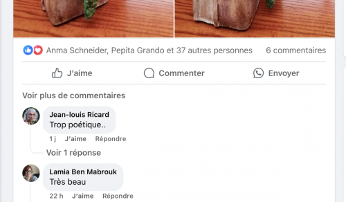 DEMELSA la jeune fille et les livres