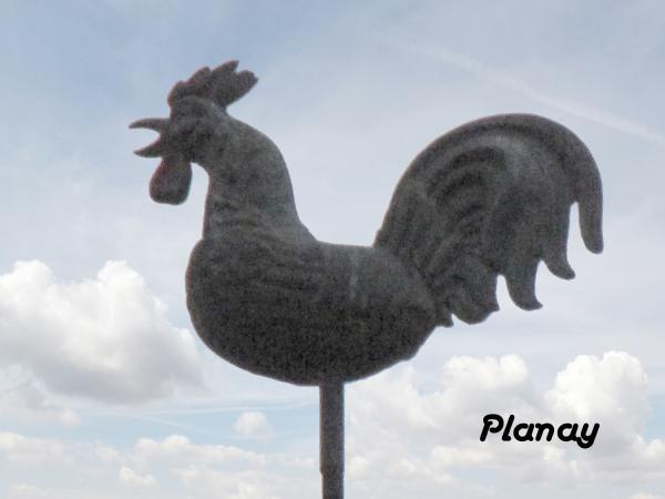 Coqs de clochers dans le canton de Laignes