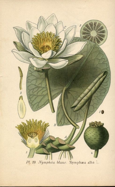 Image004.jpg
