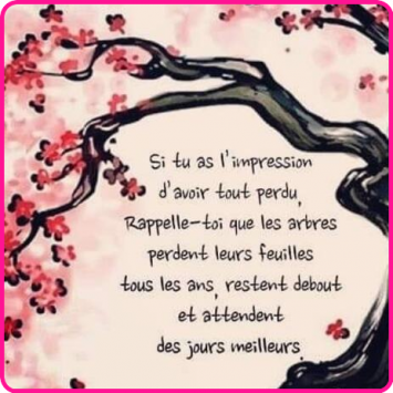 ღ꧁ღ╭⊱ꕥ A Méditer  ꕥ⊱╮ღ꧂ღ