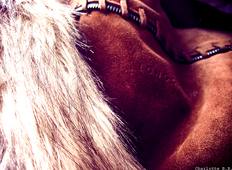 [Pour ou contre] Fox tail, entre kitschitude et coolitude...