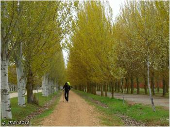 (J30) Calzadilla de los Hermanillos / San Nicolas del Real Camino 4 mai 2012 (1)